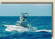 good day team fishing boat